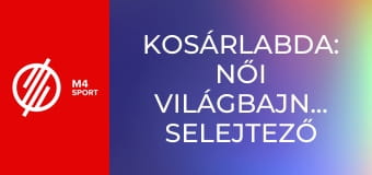 Kosárlabda: Női világbajnokság selejtező torna - Japán – Magyarország mérkőzés