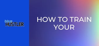 How To Train Your Teen S6E1