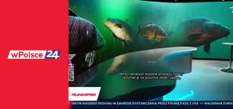 Tele-ekspres wPolsce24