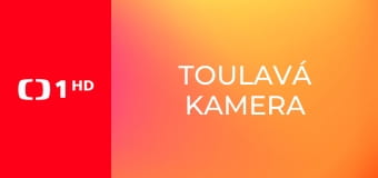 Toulavá kamera