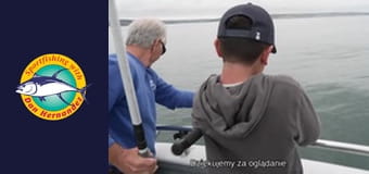 Sea Star, part 1 Sea Star, part 1