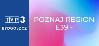 Poznaj region E39 - Palmiarnia i Ogrody Światła w Zamku Książ