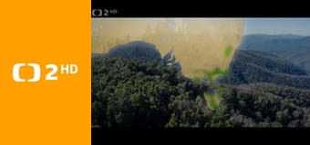 O stromech a lese E3 - Australský obří eukalyptus