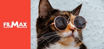 Zakręcone stworzonka z Internetu S1E5