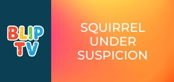 Squirrel under suspicion Squirrel under suspicion