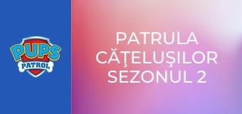 Patrula căţeluşilor Sezonul 2 Episodul 8