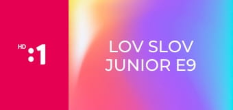 Lov slov junior E9
