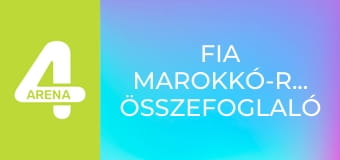FIA Marokkó-rali, összefoglaló