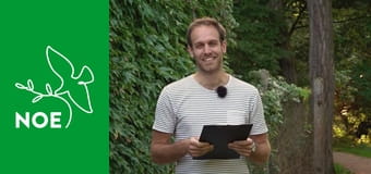 Magazín Mary's Meals