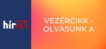 Vezércikk - Olvasunk a sorok között