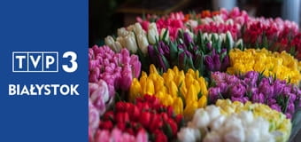 Kwiaty na warsztat S4E8 - Drugie życie mebli, tworzymy kolorowy pomocnik pełen zdrowych ziół