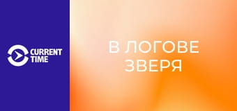 Реальное кино. Д/ф "В логове зверя".