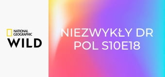 Niezwykły dr Pol S10E18 - Z chirurgiczną precyzją