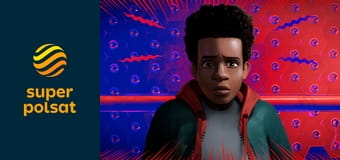 Spider-Man Uniwersum