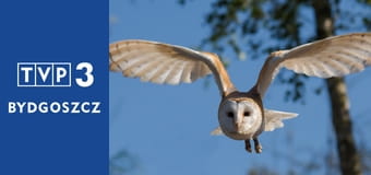 Prywatne życie zwierząt S3E2 - Ewolucja