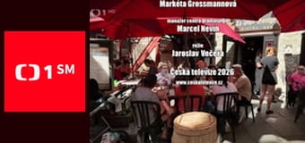 Úsměvy - Jana Potměšila