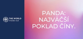 Panda: najväčší poklad Číny. Život v horskej dedine. Čína.