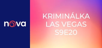 Kriminálka Las Vegas S9E20 - Návštěvníci