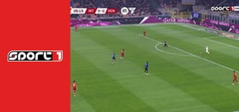 Fotbal - Inter - Venezia