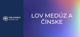 Lov medúz a čínske recepty na ich prípravu. Čína.