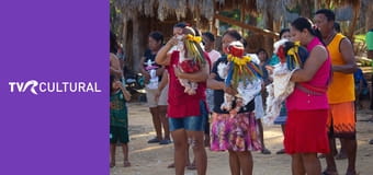 Documentar 360°GEO Brazilia - speranţă pentru papagalii Ara hiacint