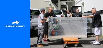 Akvárium extrákkal S8E12 - 12. rész