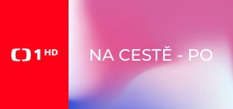 Na cestě - po Aucklandu