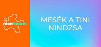 Mesék a tini nindzsa teknőcökről S1E1 - Leonardo magára marad Mesék a tini nindzsa teknőcökről S1E1 - Leonardo magára marad