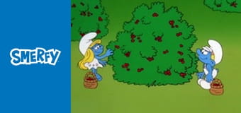 Nie wykonano nowej wersji