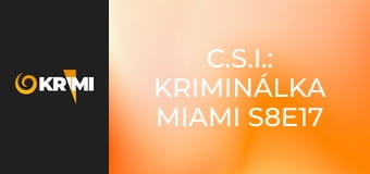 C.S.I.: Kriminálka Miami S8E17 - Rozsekaná