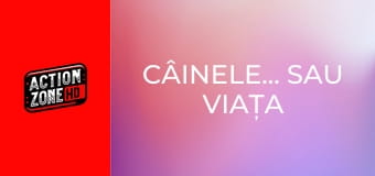 Câinele... sau viața