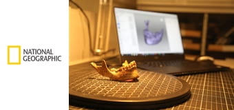 Vikingské válečnice, moderní sága