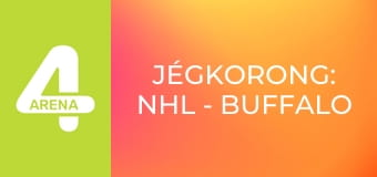 Jégkorong: NHL - Buffalo Sabres – Boston Bruins