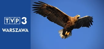 Przyrodnik na tropie E8 - Dąb