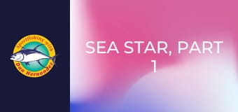 Sea Star, part 1