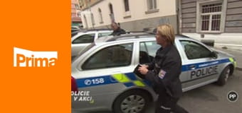 Policie v akci - Pohřební hostina / Bezohledná matka / Vajíčka / Přednost v myčce