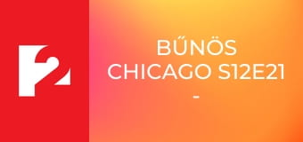 Bűnös Chicago S12E21 - Nyitott koporsó Bűnös Chicago S12E21 - Nyitott koporsó