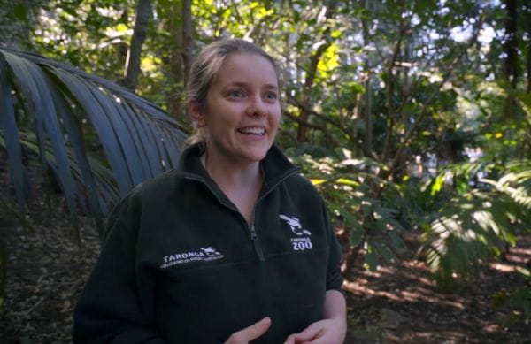 Inside Taronga Zoo (2019) - 2 season 5 episode