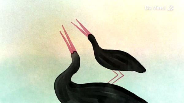 6. Black Storks