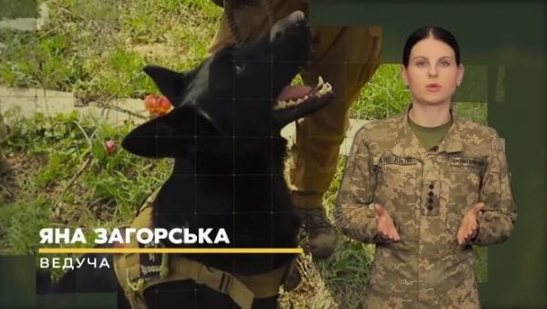 Military TV. War Reporter (2022) - 48. how to fight in bahmuth? advice of the instructor. counterbattery radar in kherson | warrior [17.05.2023]