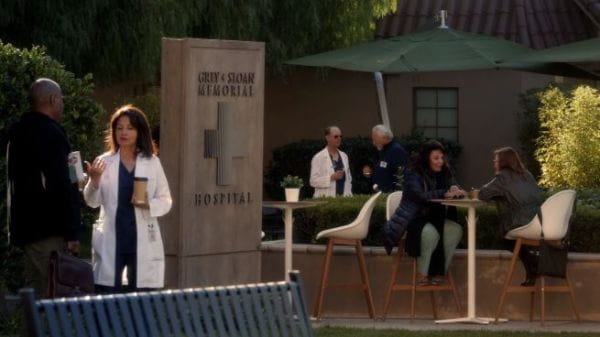 Grey's Anatomy (2013) – 15 season 13 episode