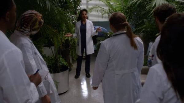 Grey's Anatomy (2013) – 15 season 18 episode
