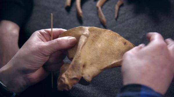 Unearthed: Ancient Murder Mysteries (2022) - 4 episode