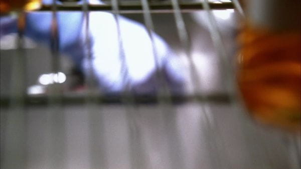 Criminal Minds (2005) – 4 season 14 episode