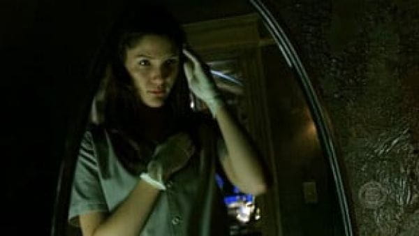 CSI. Crime Scene Investigation: 7 Season (2007) - episode 24