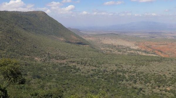 Maasai Mara: Wildlife Crossover (2020) - 1 série