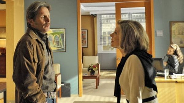 The Good Wife (2009) – 1 season 18 episode