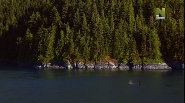 Wild Canada (2014) - 6 episode