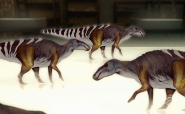 Тайны смертоносного тираннозавра