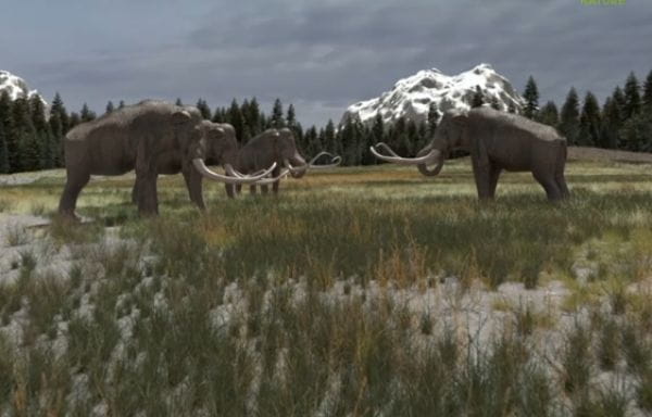 Tajemství obřích mamutů